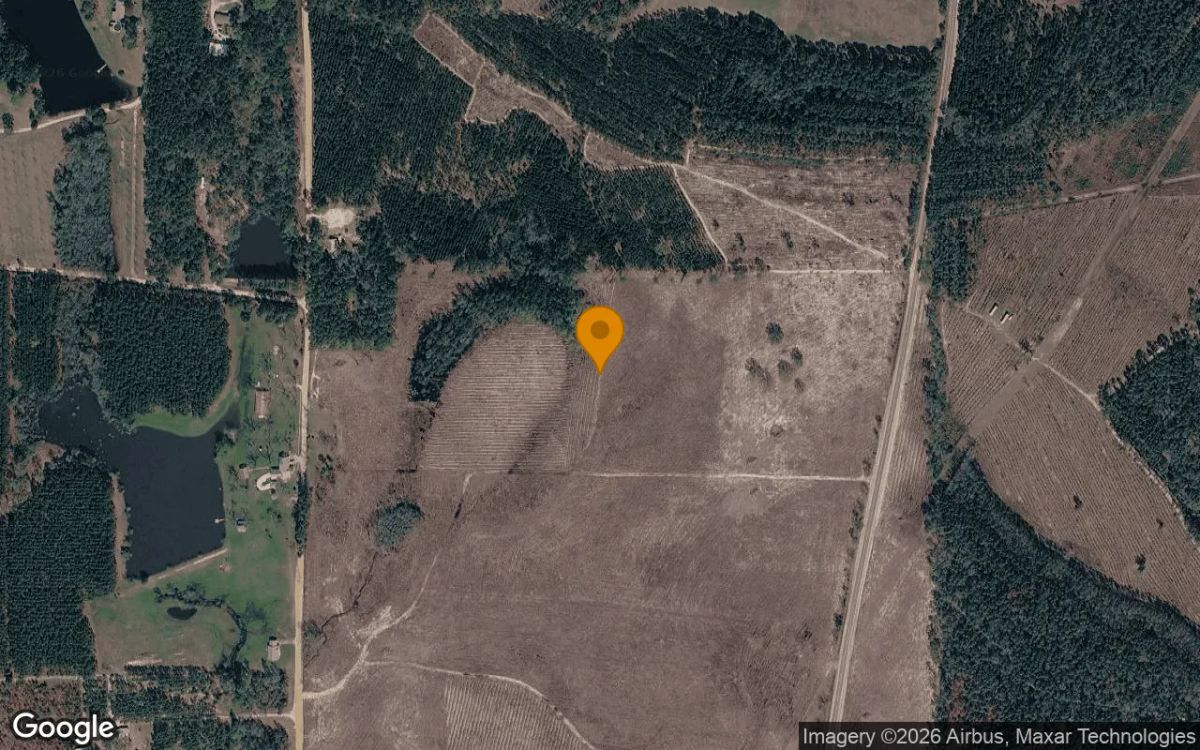 35 Acres in Baxley - Appling County, GA - Main image