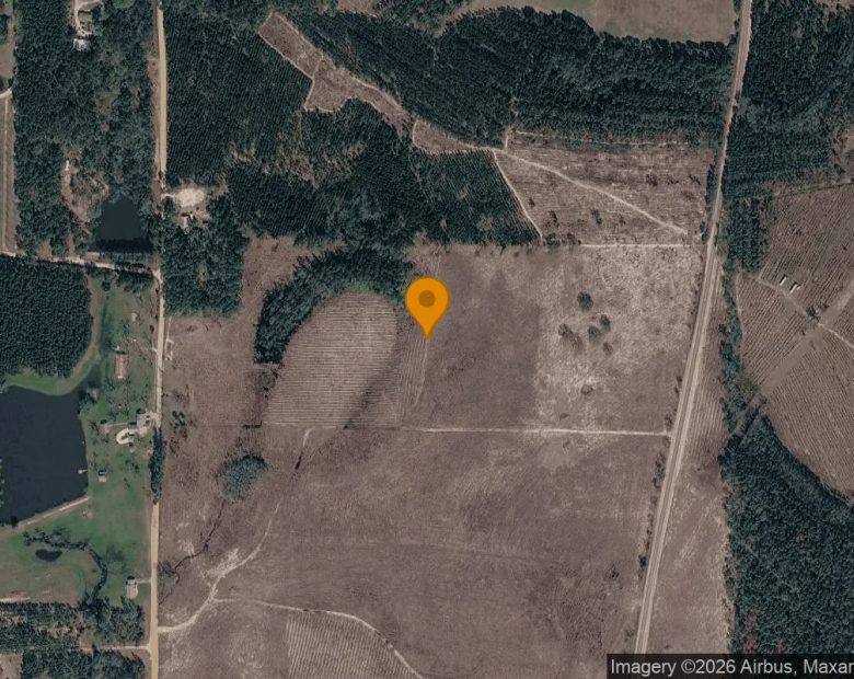 35 Acres in Baxley - Appling County, GA in Appling County, GA