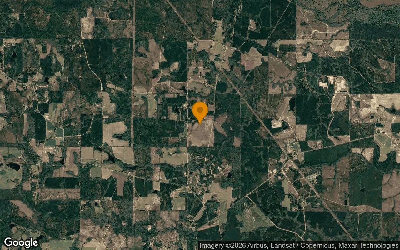 35 Acres in Baxley - Appling County, GA in Appling County, GA