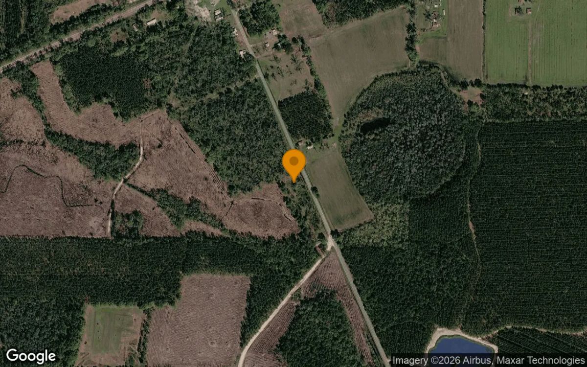 0.48 Acres in Manor - Ware County, GA - Main image