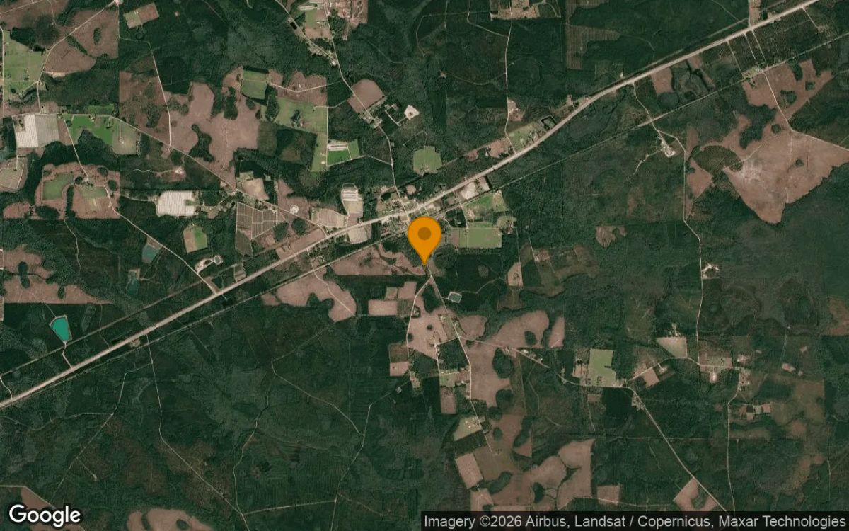 0.48 Acres in Manor - Ware County, GA - Image 3