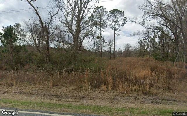 0.48 Acres in Manor - Ware County, GA - Image 4