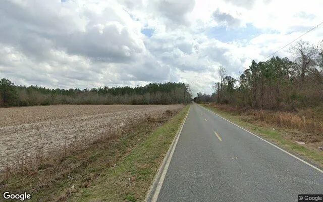 Decorative background for 0.48 Acres in Manor - Ware County, GA image 5