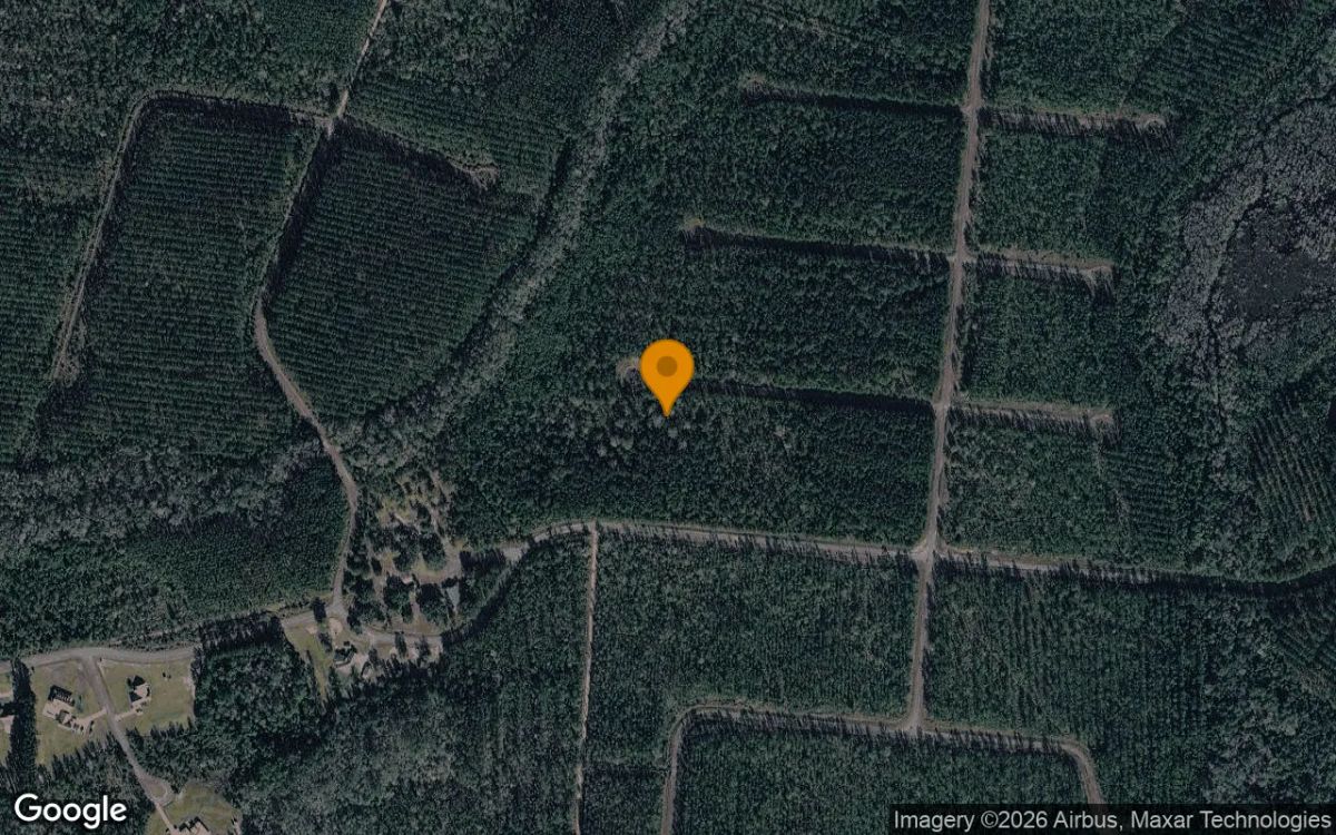 0.5 Acres in Waynesville - Brantley County, GA - Main image