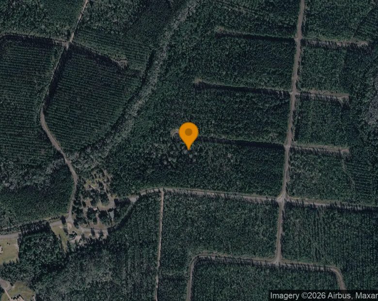0.5 Acres in Waynesville - Brantley County, GA in Brantley County, GA