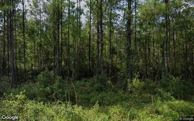 0.5 Acres in Waynesville - Brantley County, GA - Image 4