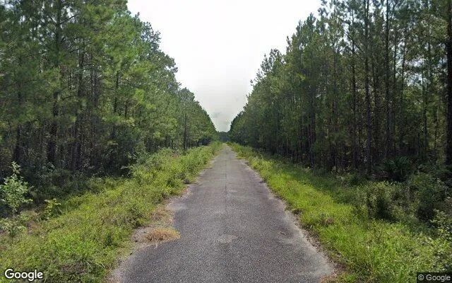 Decorative background for 0.5 Acres in Waynesville - Brantley County, GA image 5