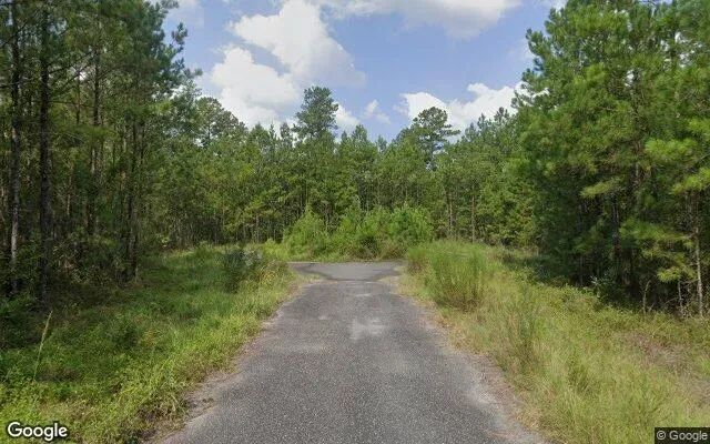Decorative background for 0.5 Acres in Waynesville - Brantley County, GA image 6