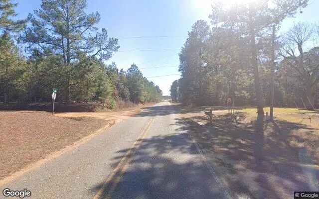 Decorative background for 0.14 Acres in Ty Ty - Tift County, GA image 5