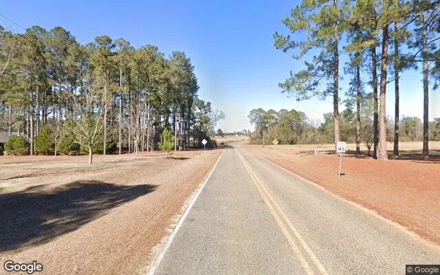 Decorative background for 0.14 Acres in Ty Ty - Tift County, GA image 6