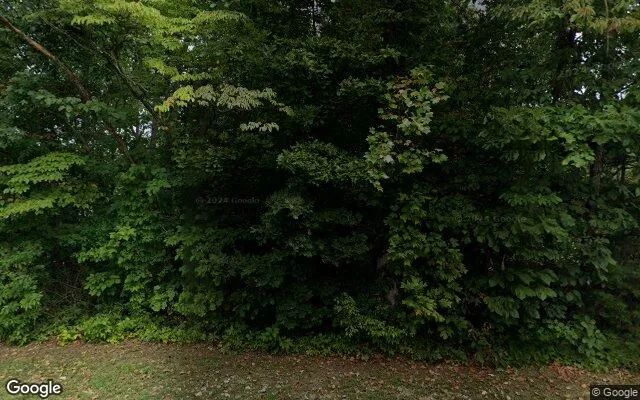 0.55 Acres in Dalton - Whitfield County, GA - Image 4