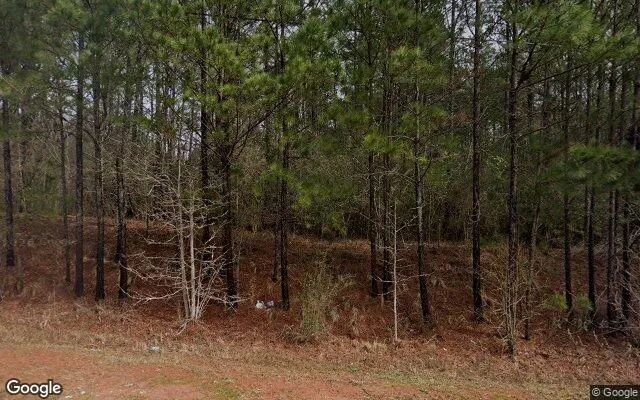 3.51 Acres in Flovilla - Butts County, GA in Butts County, GA