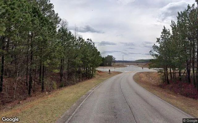 Decorative background for 3.51 Acres in Flovilla - Butts County, GA image 6