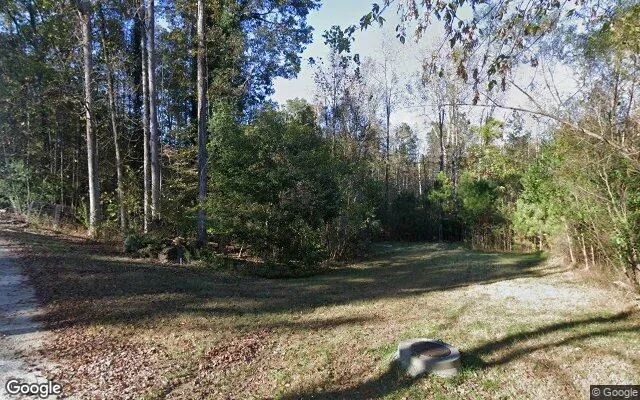 Decorative background for 0.33 Acres in Woodstock - Cherokee County, GA image 5