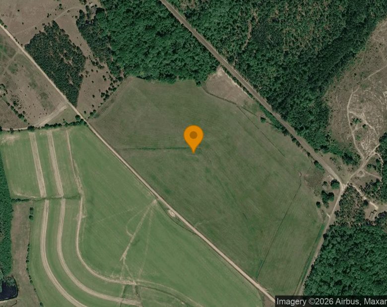 35.26 Acres in Alamo - Wheeler County, GA in Wheeler County, GA