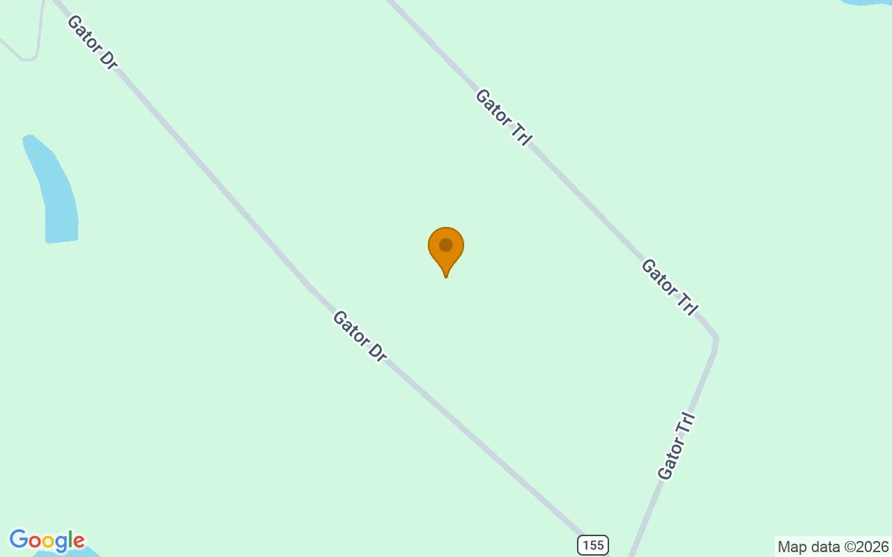 35.26 Acres in Alamo - Wheeler County, GA in Wheeler County, GA