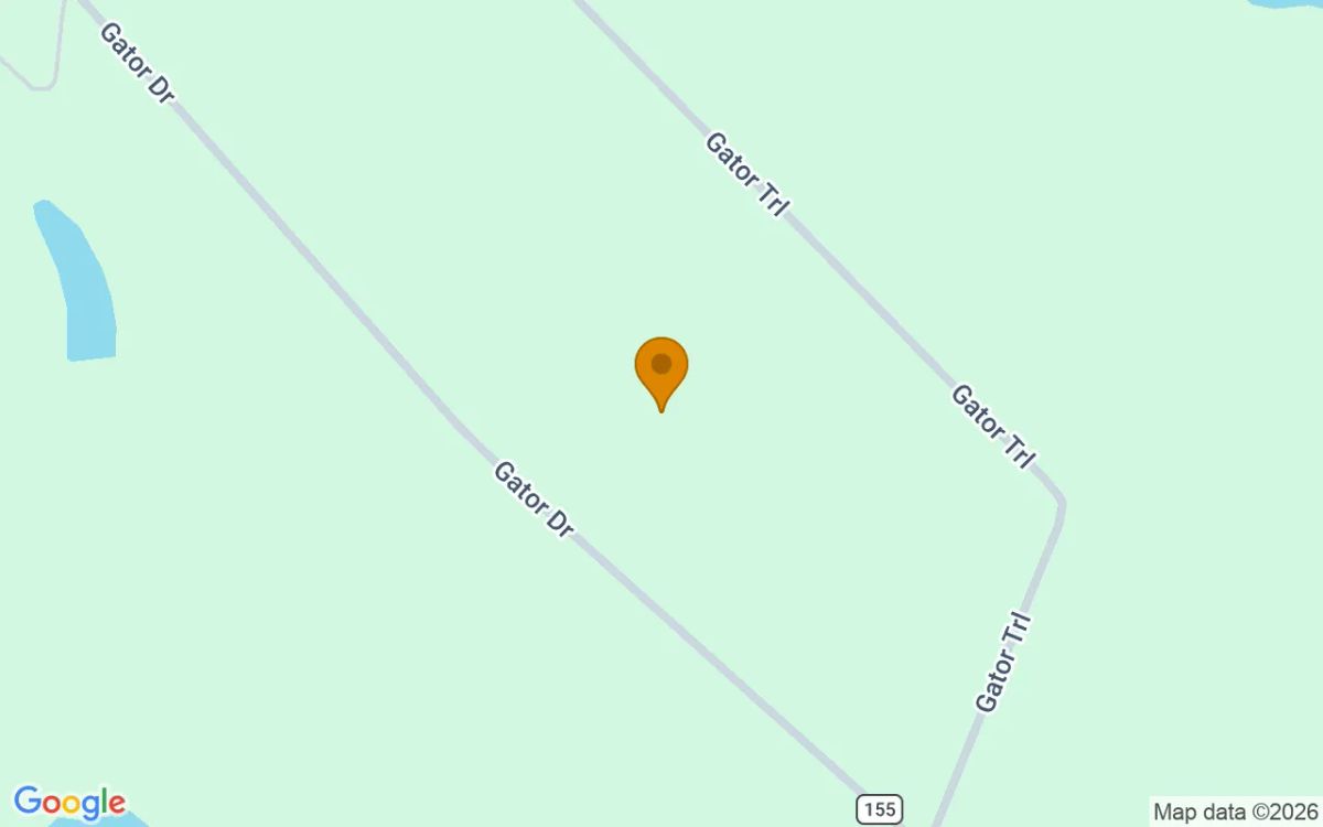 35.26 Acres in Alamo - Wheeler County, GA - Image 2
