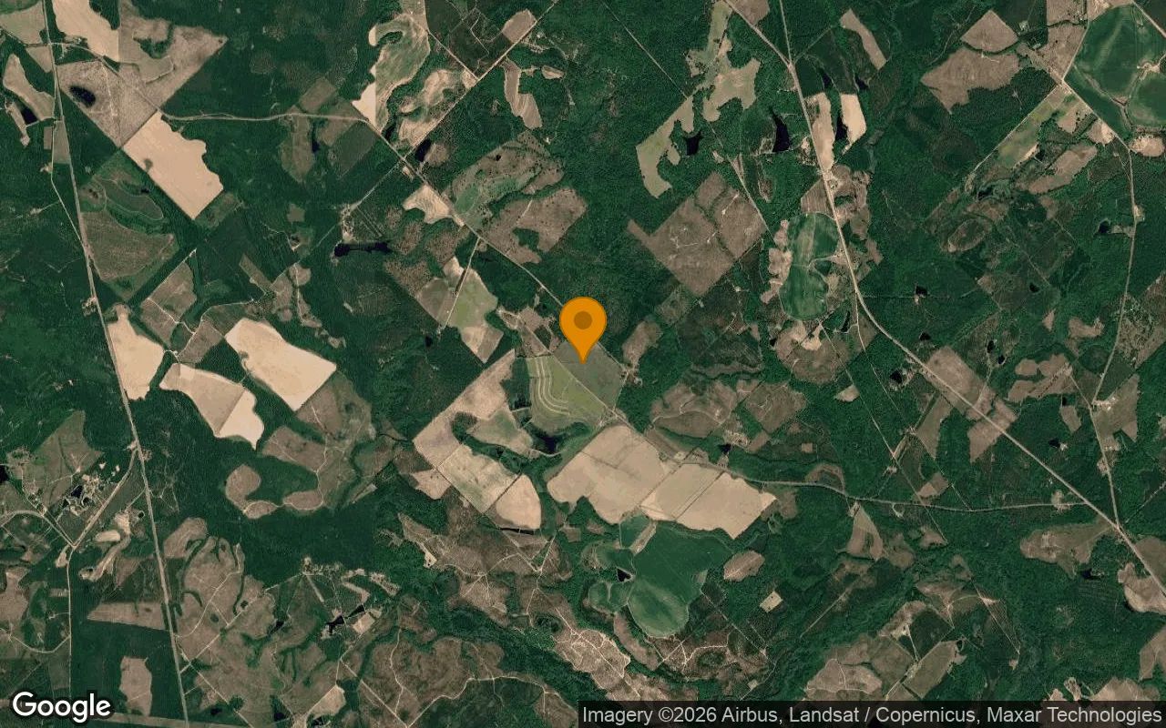 35.26 Acres in Alamo - Wheeler County, GA in Wheeler County, GA