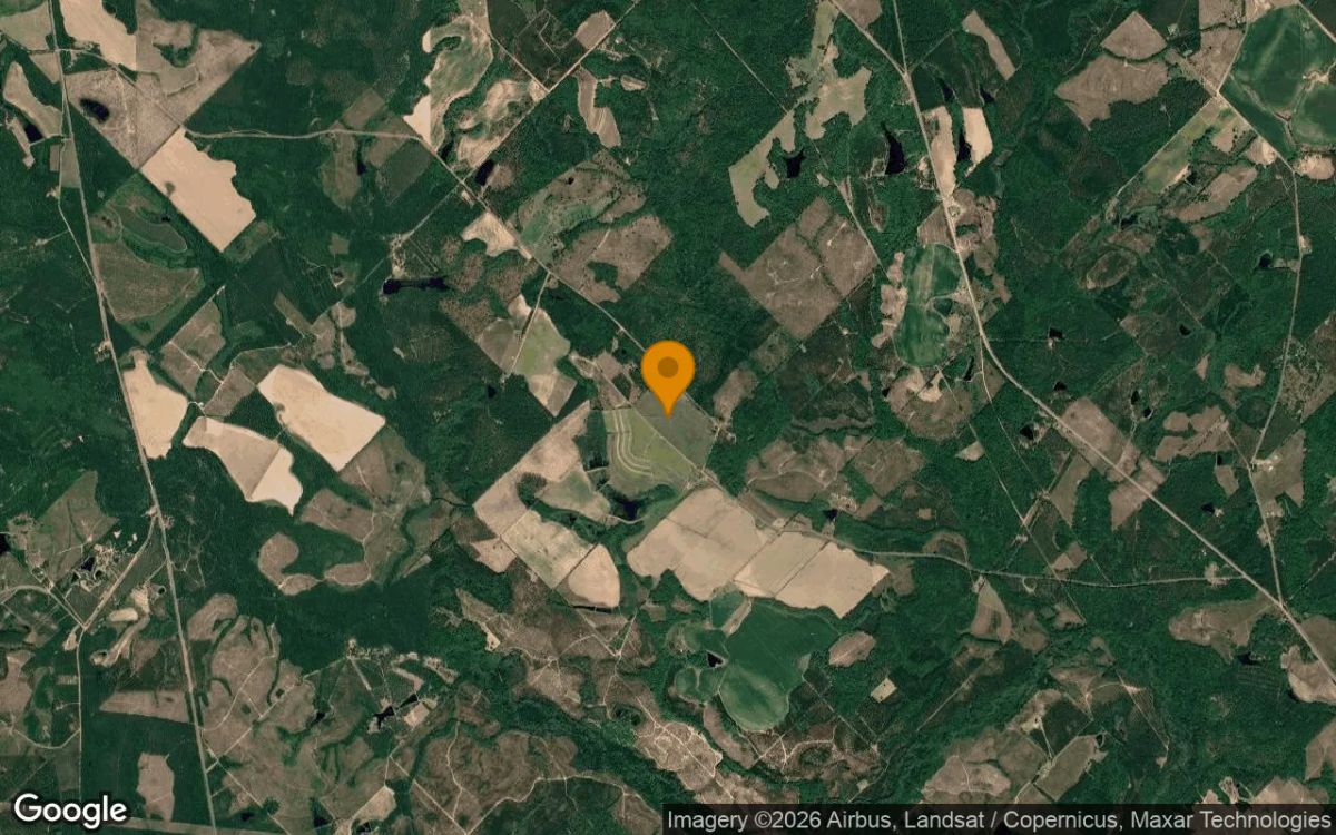 35.26 Acres in Alamo - Wheeler County, GA - Image 3