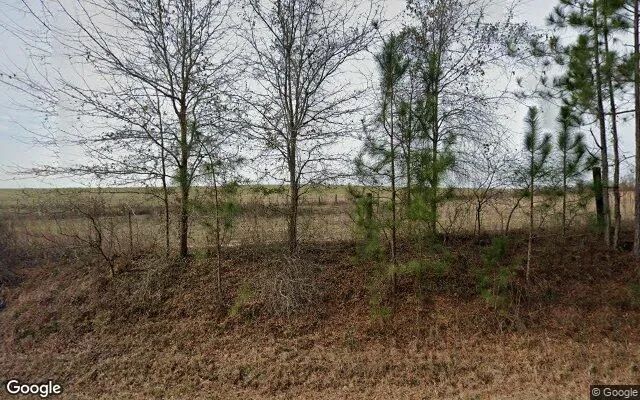 35.26 Acres in Alamo - Wheeler County, GA in Wheeler County, GA