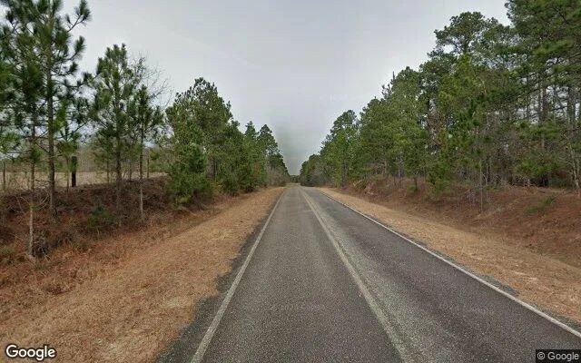 Decorative background for 35.26 Acres in Alamo - Wheeler County, GA image 6