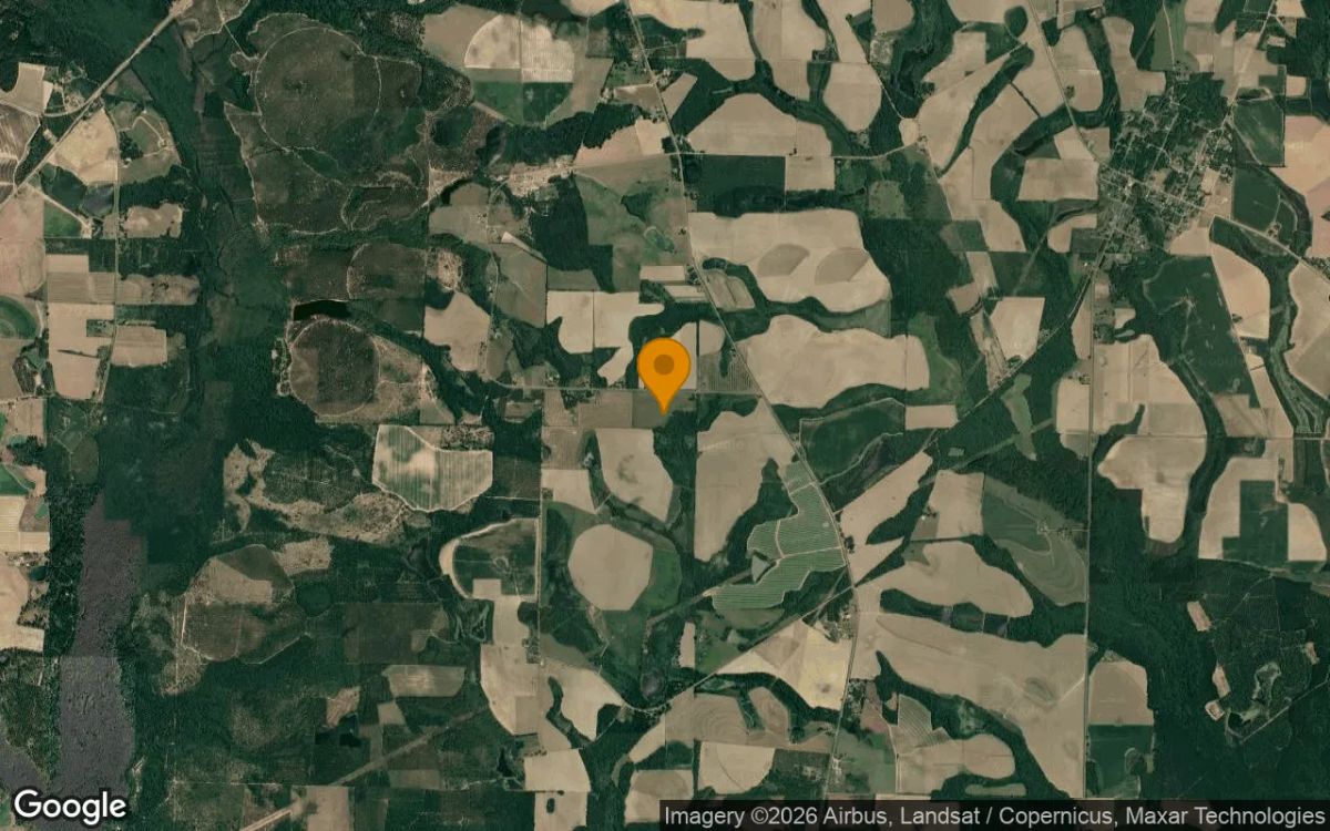 34.84 Acres in Ocilla - Irwin County, GA - Image 3
