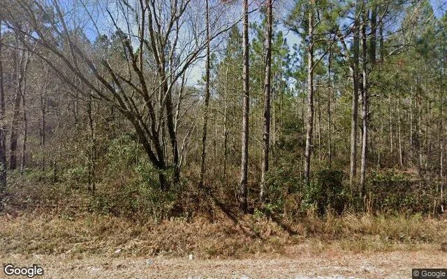 3.52 Acres in Claxton - Evans County, GA - Image 4