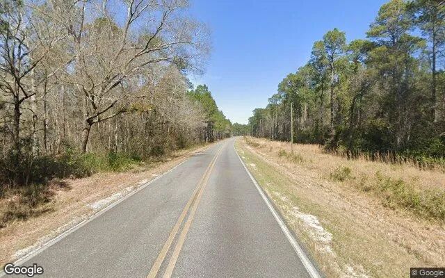 Decorative background for 3.52 Acres in Claxton - Evans County, GA image 6