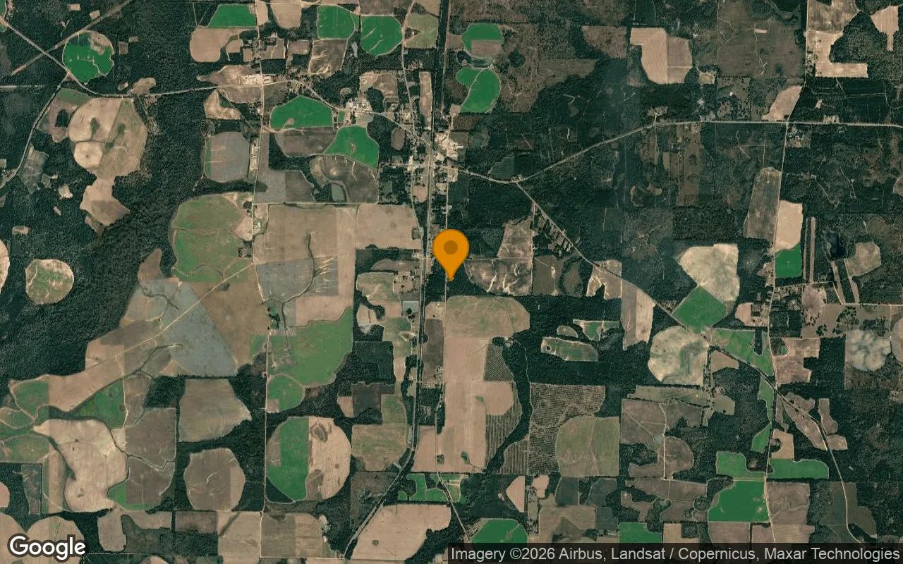 0.74 Acres in Damascus - Early County, GA in Early County, GA