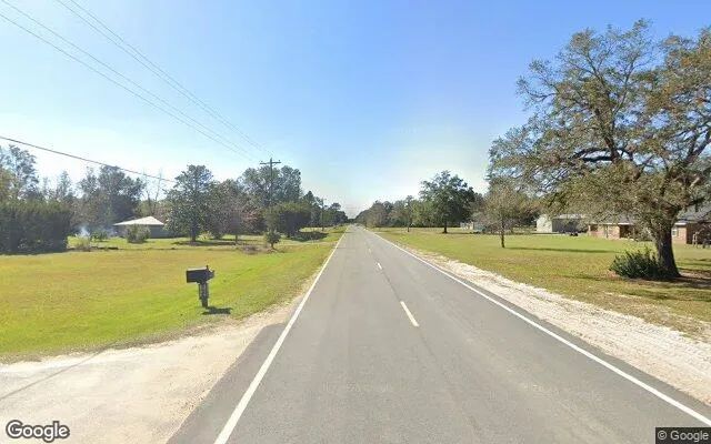 Decorative background for 7.55 Acres in Ludowici - Long County, GA image 6