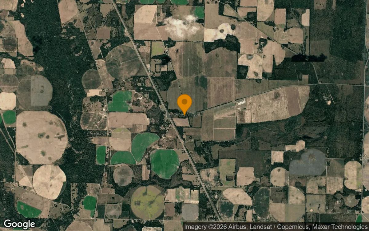 0.54 Acres in Colquitt - Miller County, GA - Image 3