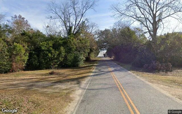 Decorative background for 0.54 Acres in Colquitt - Miller County, GA image 5