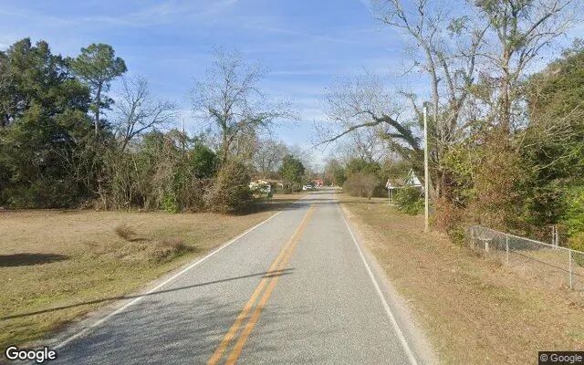 Decorative background for 0.54 Acres in Colquitt - Miller County, GA image 6