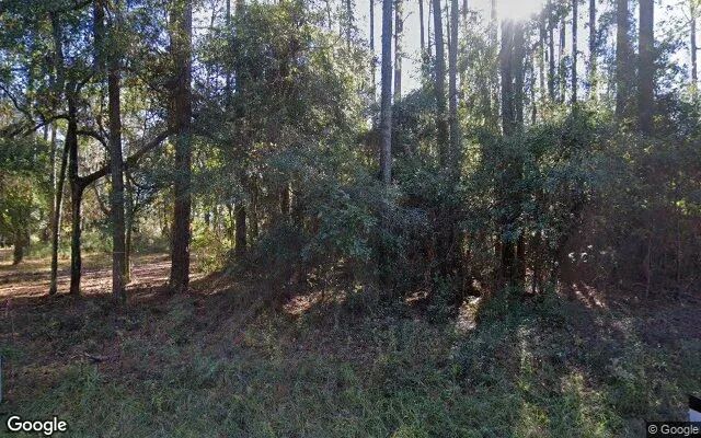 0.55 Acres in Townsend - McIntosh County, GA - Image 4