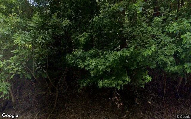 0.29 Acres in Hillsboro - Jasper County, GA - Image 4