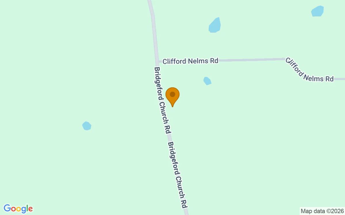 0.54 Acres in Hazlehurst - Jeff Davis County, GA - Image 2
