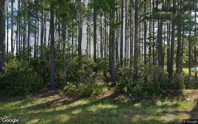 0.54 Acres in Hazlehurst - Jeff Davis County, GA in Jeff Davis County, GA