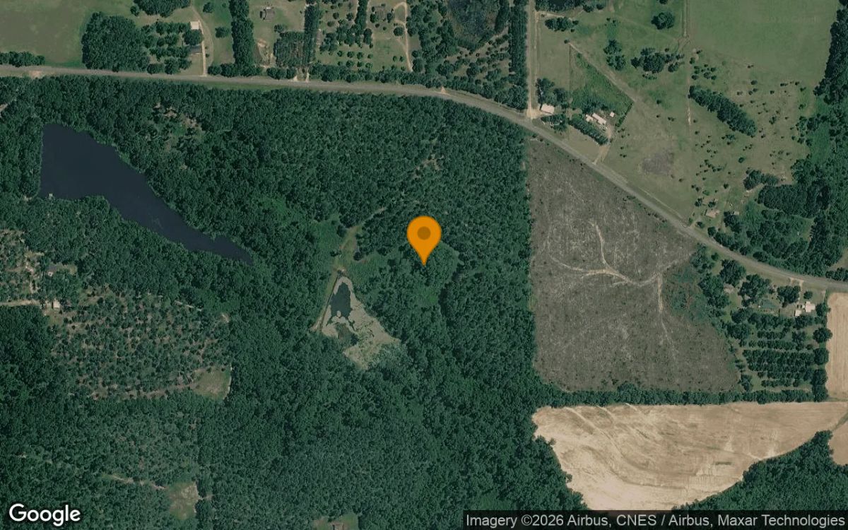 35.05 Acres in Pelham - Grady County, GA - Main image