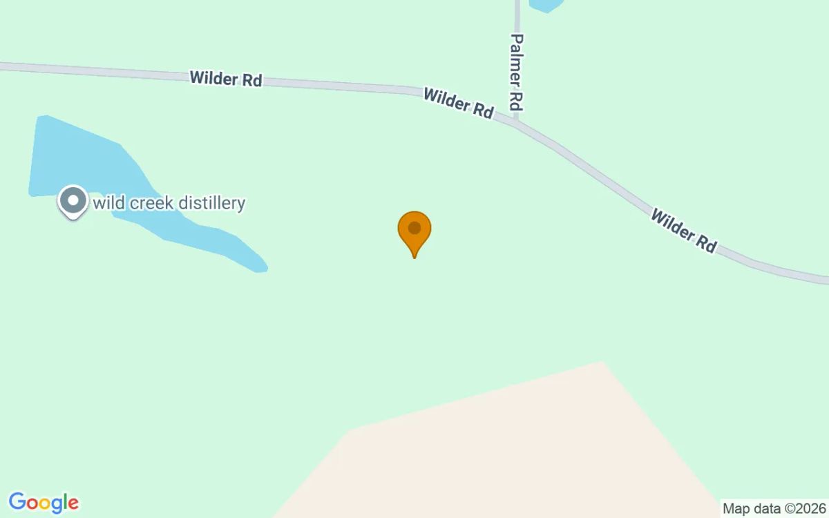 35.05 Acres in Pelham - Grady County, GA - Image 2