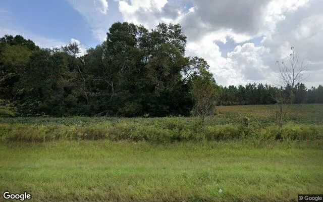 0.55 Acres in Hazlehurst - Jeff Davis County, GA - Image 4
