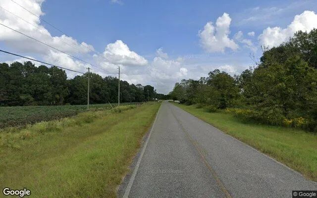Decorative background for 0.55 Acres in Hazlehurst - Jeff Davis County, GA image 5