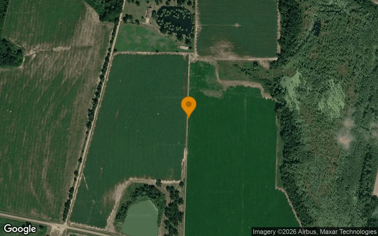 124.92 Acres in Sycamore - Turner County, GA in Turner County, GA