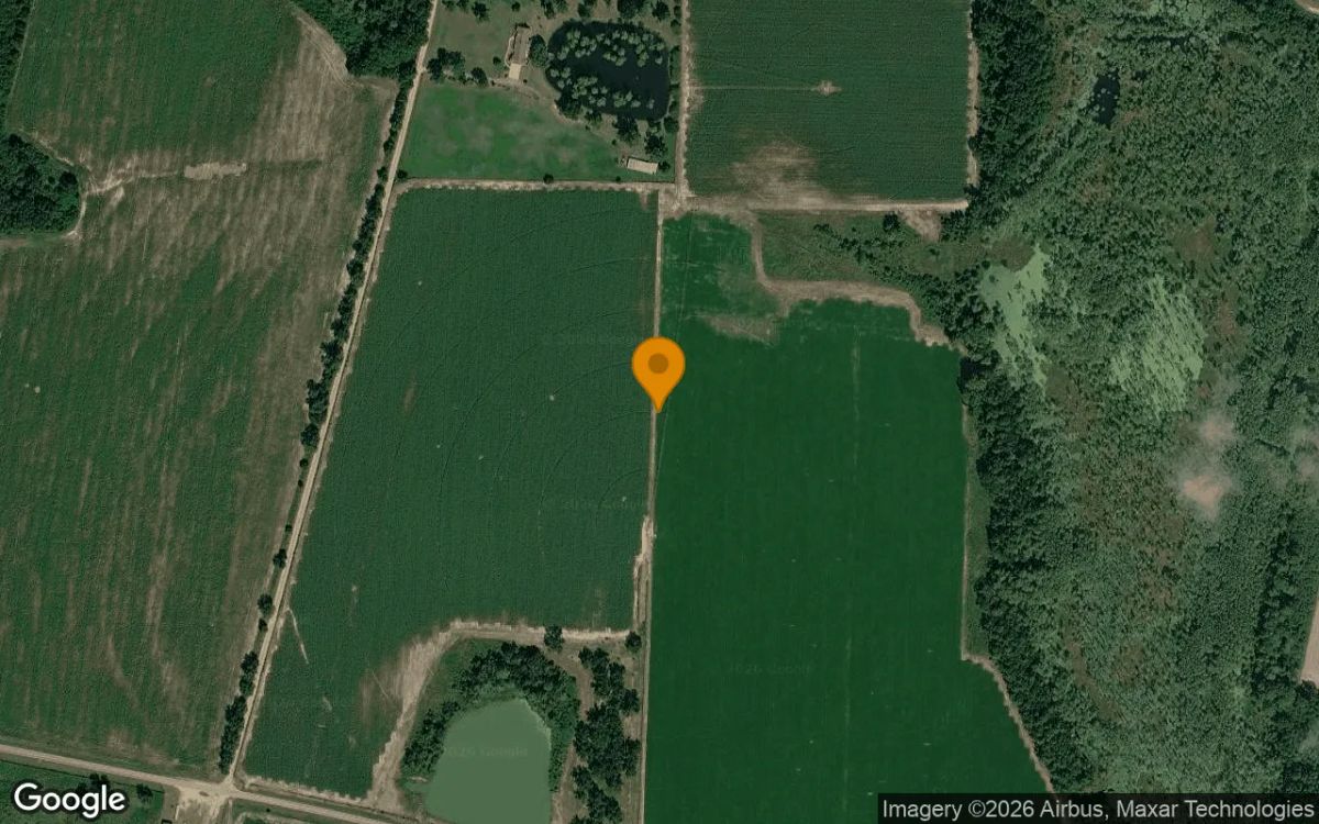 124.92 Acres in Sycamore - Turner County, GA - Main image
