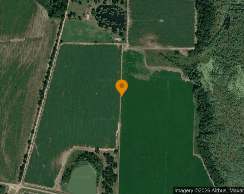 124.92 Acres in Sycamore - Turner County, GA in Turner County, GA