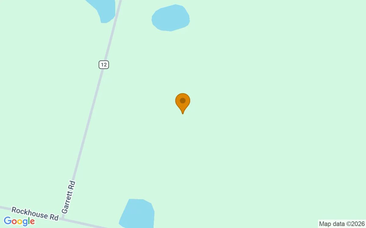 124.92 Acres in Sycamore - Turner County, GA - Image 2
