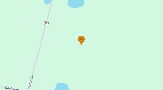 124.92 Acres in Sycamore - Turner County, GA in Turner County, GA