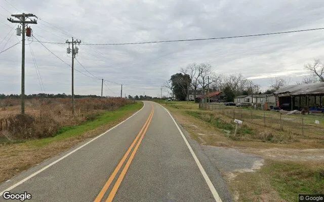 Decorative background for 124.92 Acres in Sycamore - Turner County, GA image 6