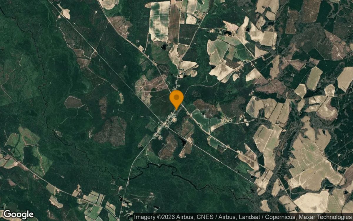 0.17 Acres in Rocky Ford - Screven County, GA - Image 3