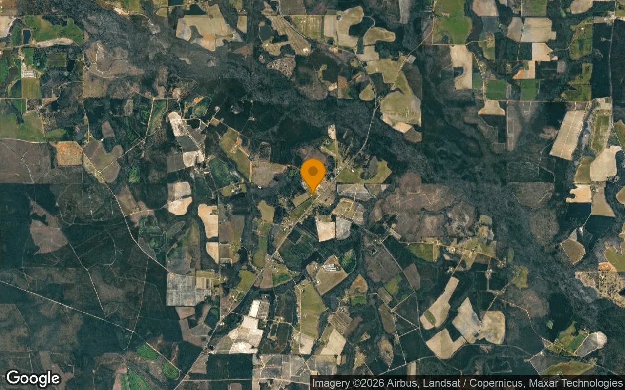 7.45 Acres in Alma - Bacon County, GA in Bacon County, GA