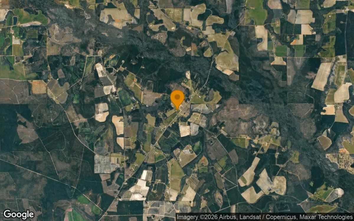 7.45 Acres in Alma - Bacon County, GA - Image 3